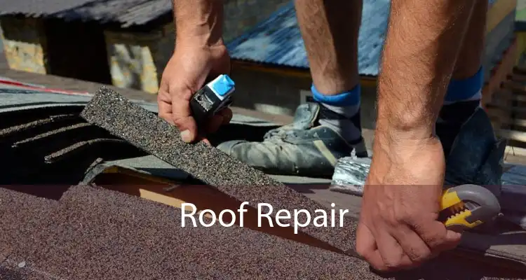 Roof Repair 